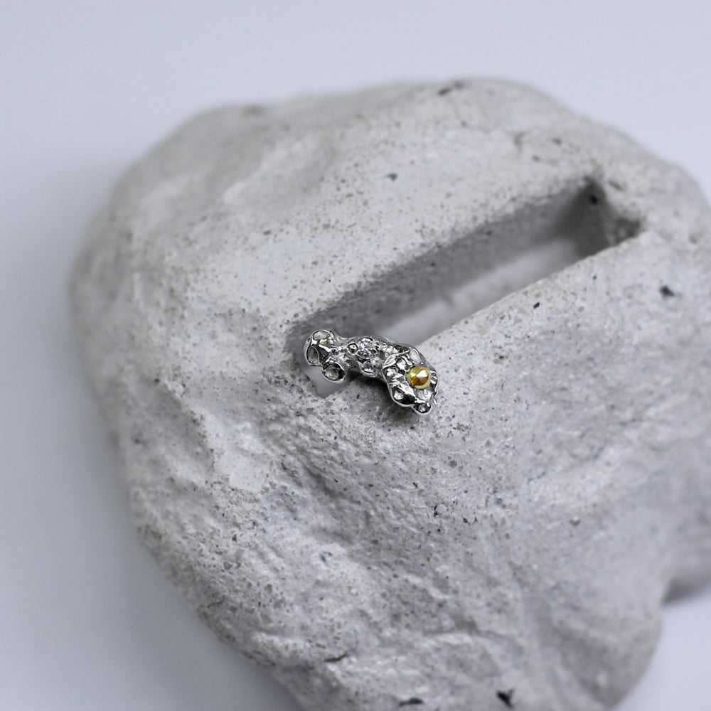 Piercing Nema II prata